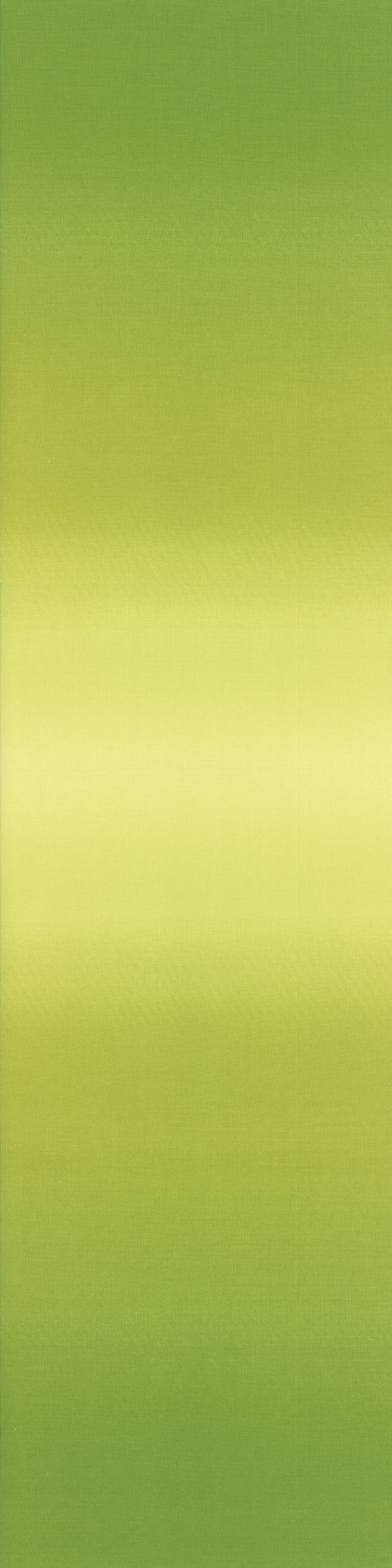 Lime Green Ombre 10800-18 – The Crafty Quilter