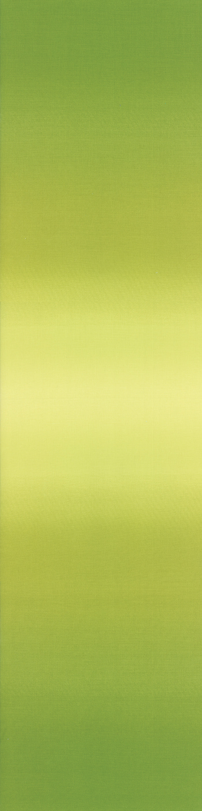 Lime Green Ombre 10800-18