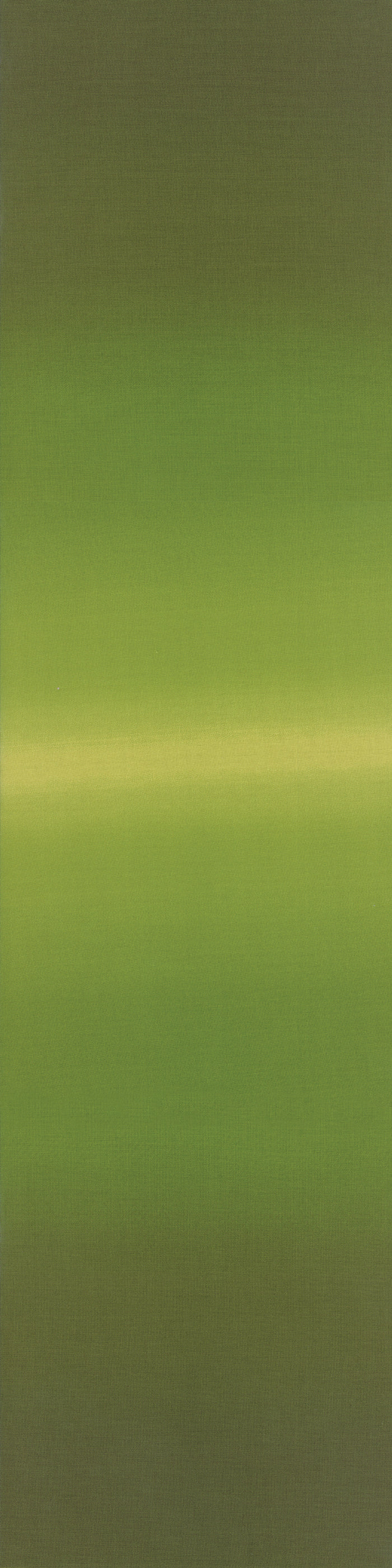 Avocado Ombre 10800-52