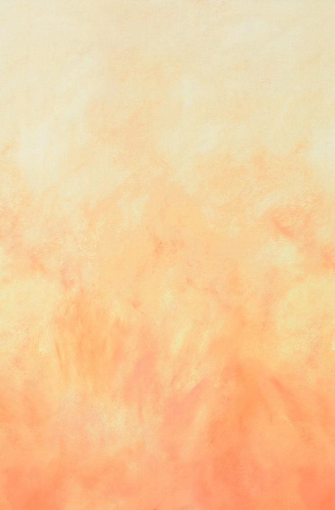 Shell Sky Ombre 22672-376