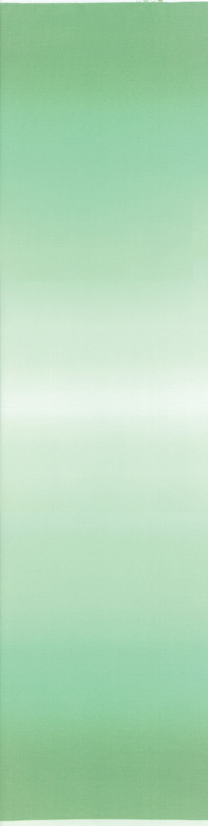 Mint Ombre 10800-210