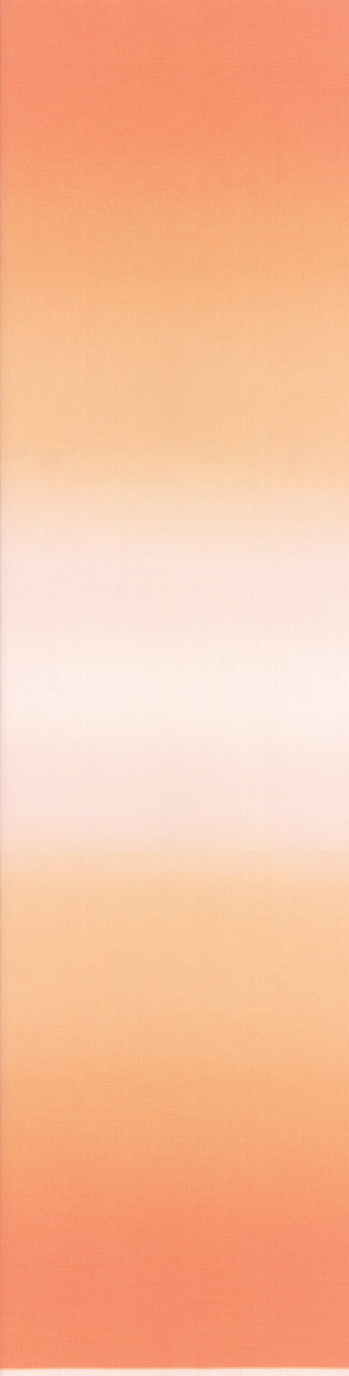 Coral Ombre 10800-221