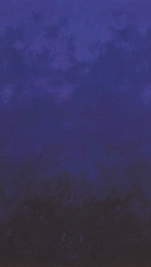 Midnight Sky Ombre 18709-69
