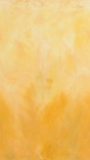 Honey Sky Ombre 21047-138