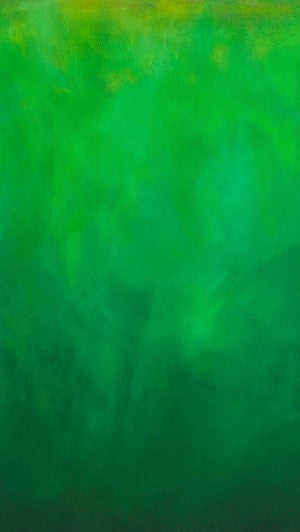 Grass Sky Ombre 21047-47