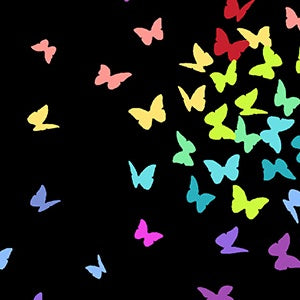 Black Rainbow Butterflies 9425-K