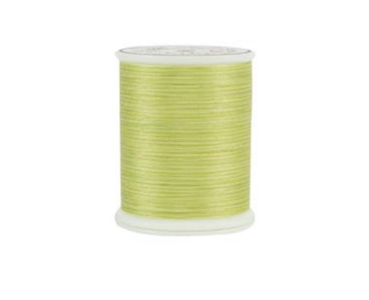 King Tut 969 Date Palm