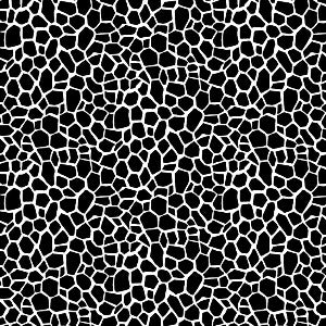 Black Giraffe Skin 2402-X